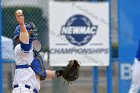 Baseball vs CGA  Wheaton College Baseball vs Coast Guard Academy during game one of the NEWMAC semi-finals playoffs. - (Photo by Keith Nordstrom) : Wheaton, baseball, NEWMAC